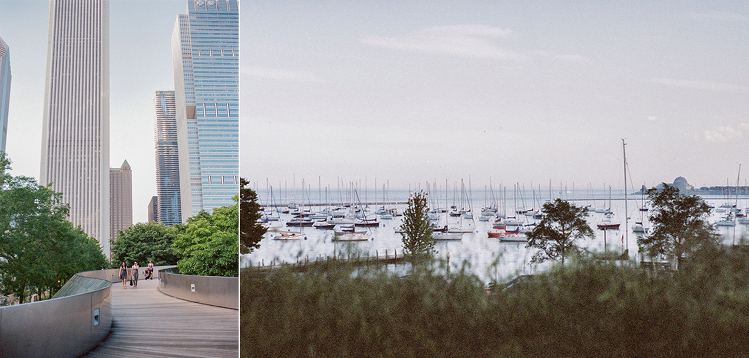 chicagomontage5
